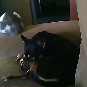 Meet your Posher, Barb