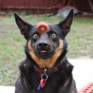 Meet your Posher, Kendra