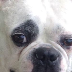 Meet your Posher, Carol