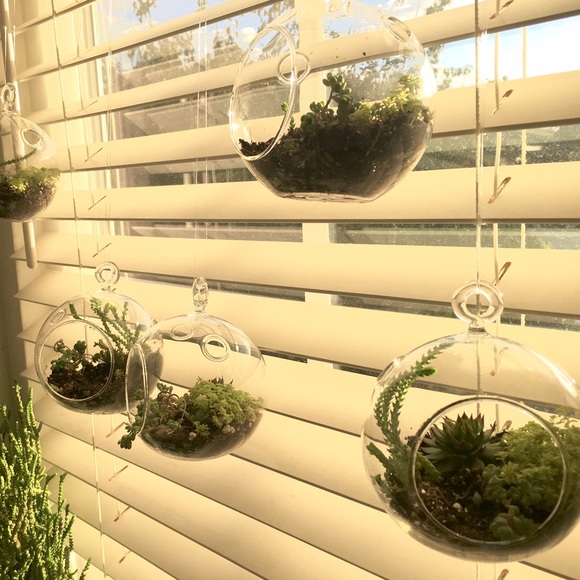 Meet your Posher, C - Picture 3 of 3