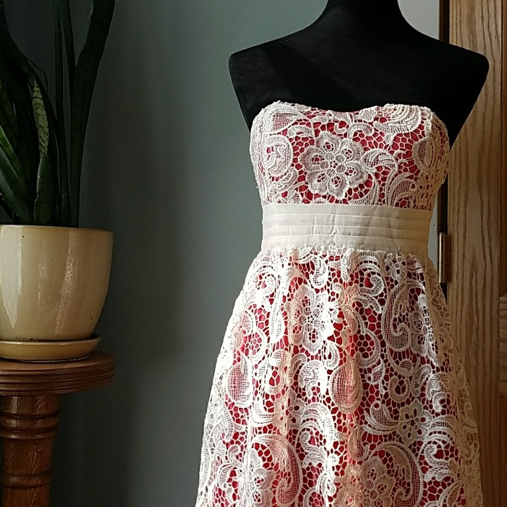 Lace Overlay strapless NWOT - Picture 1 of 4