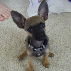 Meet your Posher, Amanda