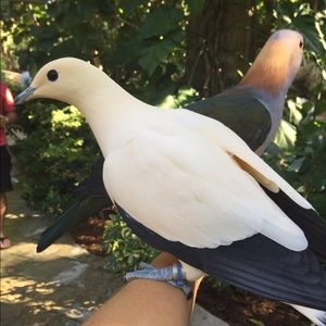 Meet your Posher, Becky