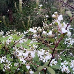 Meet your Posher, Sabrina