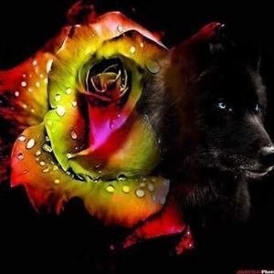 Meet your Posher, Sandy