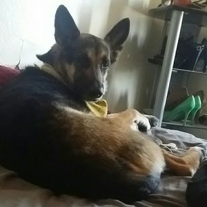 Meet your Posher, Tessa