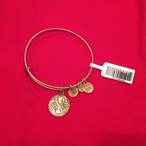 Alex and ani - path of life bracelet.
