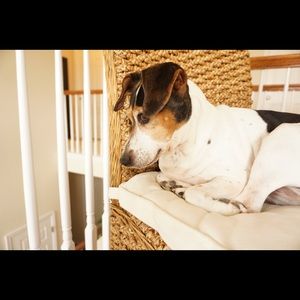 Meet your Posher, Christy