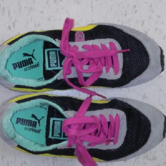 Puma