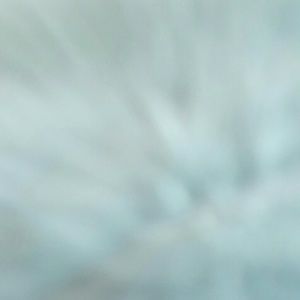 Meet your Posher, Annie