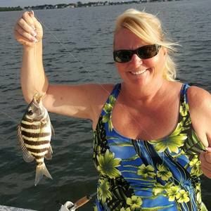 Meet your Posher, Kim