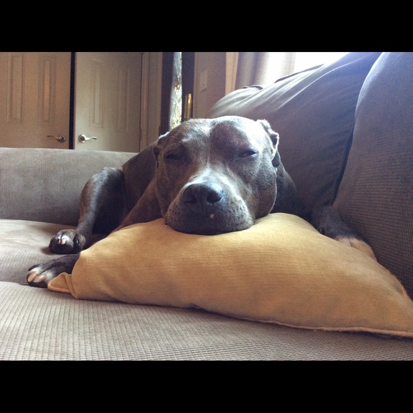 Meet your Posher, Leah - Picture 1 of 1