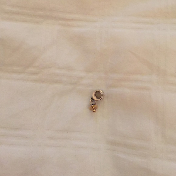 Pandora charm