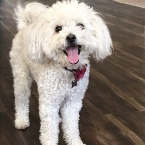 Meet your Posher, Chris