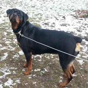 Meet your Posher, Dana