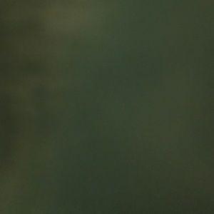 Meet your Posher, Denacia