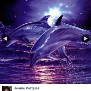 Meet your Posher, Joanie