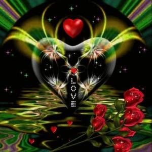 Meet your Posher, Judy