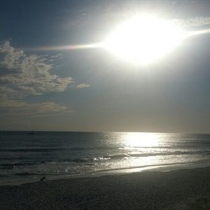 Meet your Posher, Loretta