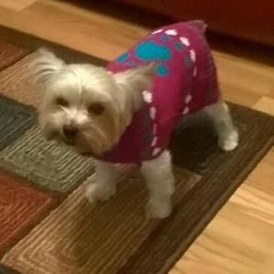 Meet your Posher, Dana