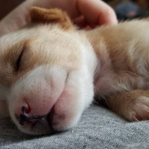 Meet your Posher, Stacy