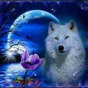 Meet your Posher, Madonna