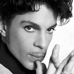 Meet your Posher, Ginger