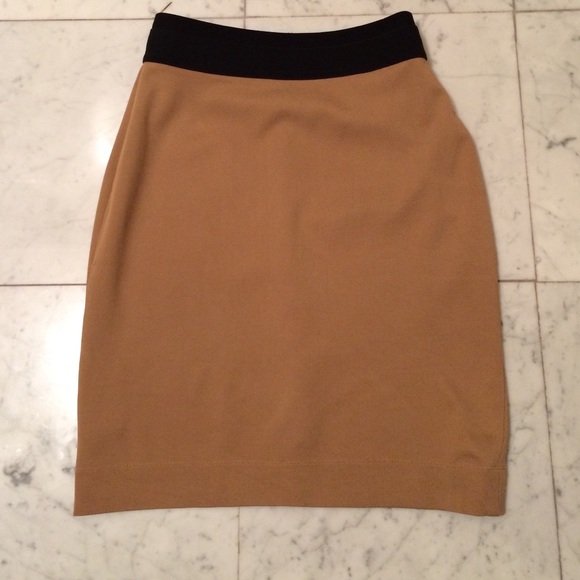 BCBG Max Azria Colorblock Body-Con Skirt