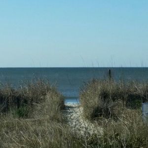 Meet your Posher, Trudy