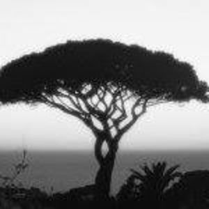 Meet your Posher, Lara