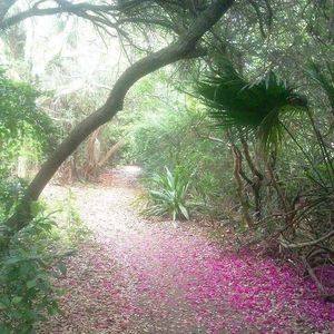 Meet your Posher, Alana