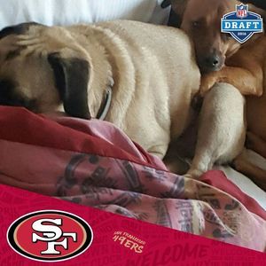 Meet your Posher, Stacy