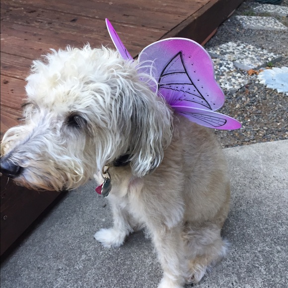 Meet your Posher, Brenda - Picture 1 of 1