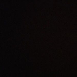 Meet your Posher, Rose