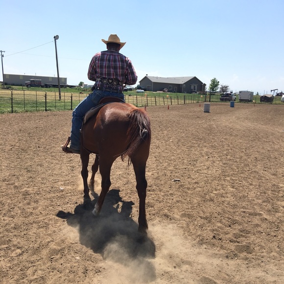 Ahhhh big softies ❤️❤️❤️❤️❤️ - Picture 2 of 6