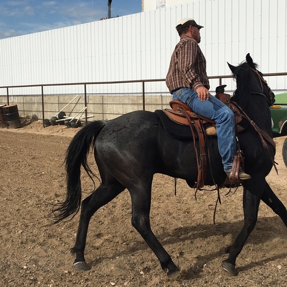 Ahhhh big softies ❤️❤️❤️❤️❤️ - Picture 3 of 6