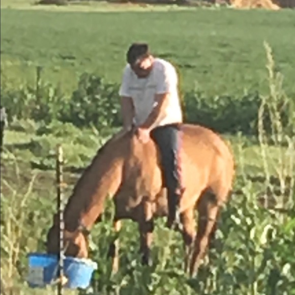 Ahhhh big softies ❤️❤️❤️❤️❤️ - Picture 4 of 6