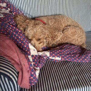 Meet your Posher, Jane