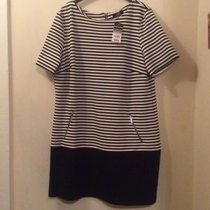 Wallis Dress size 14 NWT