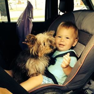 Meet your Posher, Dawn dauberman