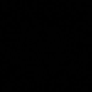 Meet your Posher, Kam