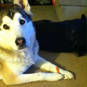 Meet your Posher, Diane