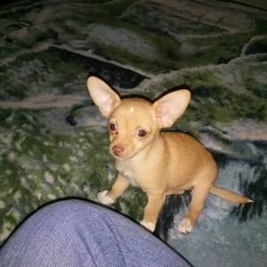 Meet your Posher, Tricia