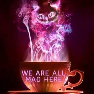 Meet your Posher, Kimm