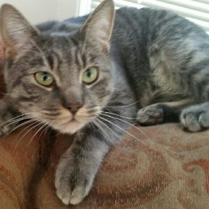 Meet your Posher, Crystallee