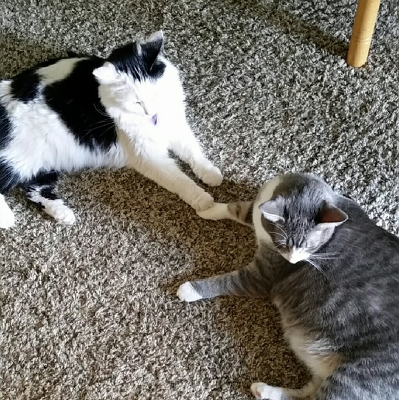 Meet your Posher, Debbie - Picture 2 of 3