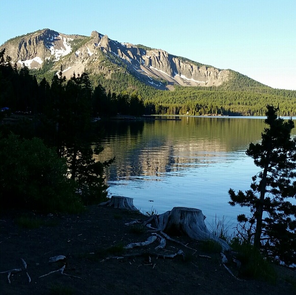 Meet your Posher, Debbie - Picture 3 of 3