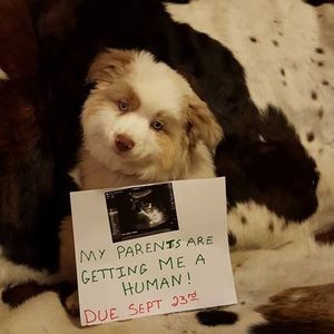 Meet your Posher, Teah