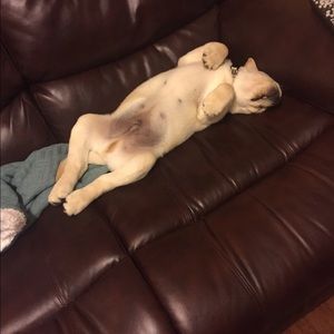 Meet your Posher, Kelsey