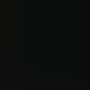 Meet your Posher, Dixie